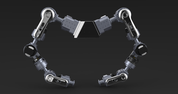 In-house Bioinspired Dual Arm